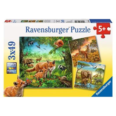 Spiel 6079.0